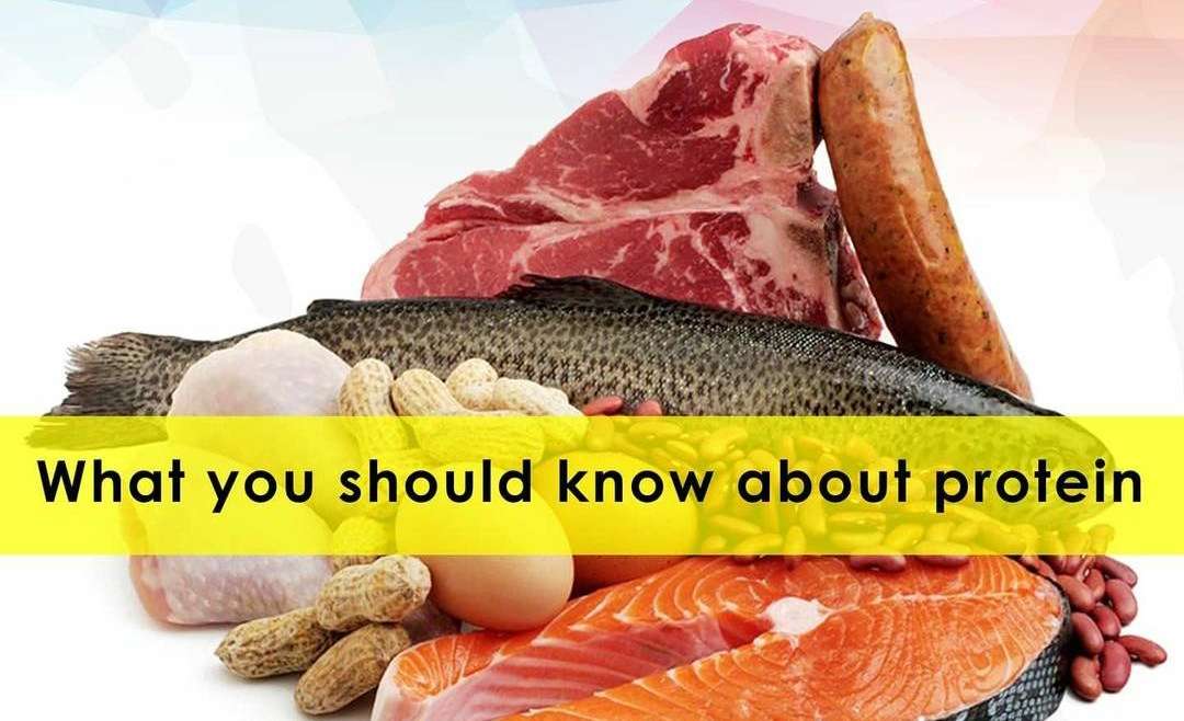 E- Nutrition
